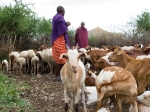 Maasai, Tanzania
